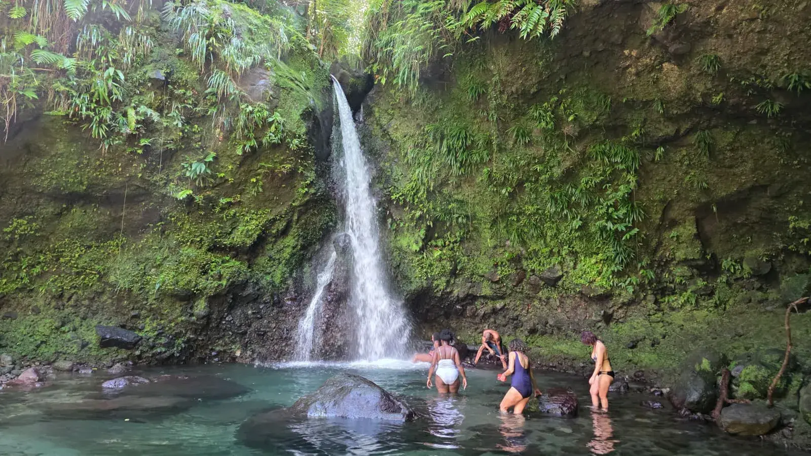 Rainforest waterfall pouring into an emerald pool